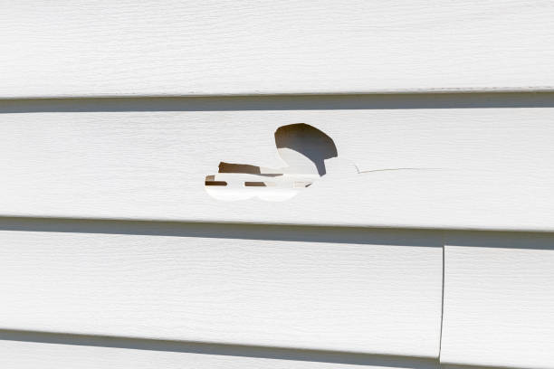 Greenville, NY Junk Removal Company