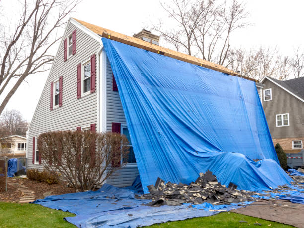 Best Basement Cleanout  in Greenville, NY